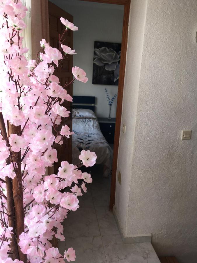 Casa Phoenix Bed & Breakfast Bed and Breakfast La Mariña Εξωτερικό φωτογραφία