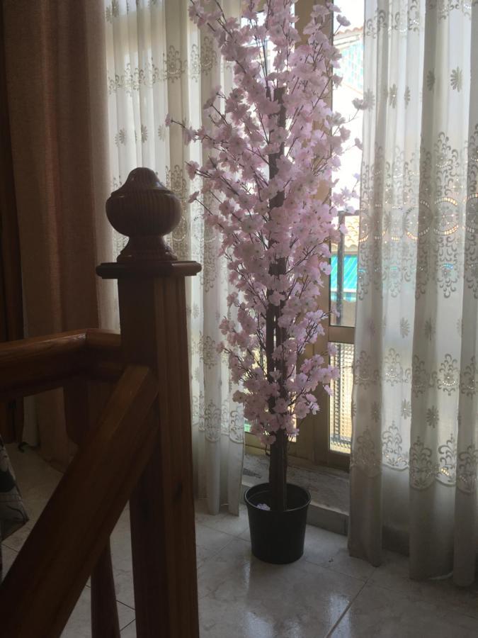 Casa Phoenix Bed & Breakfast Bed and Breakfast La Mariña Εξωτερικό φωτογραφία