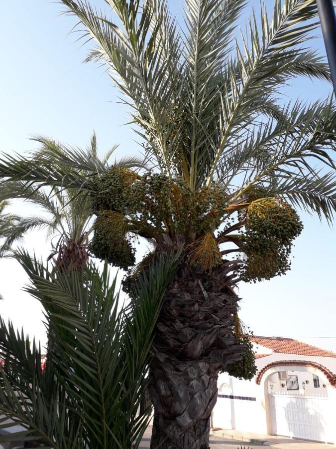 Casa Phoenix Bed & Breakfast Bed and Breakfast La Mariña Εξωτερικό φωτογραφία